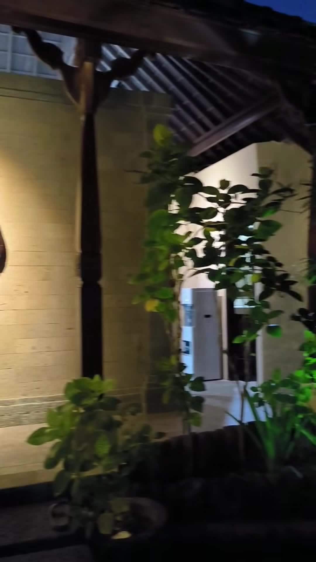 Property video