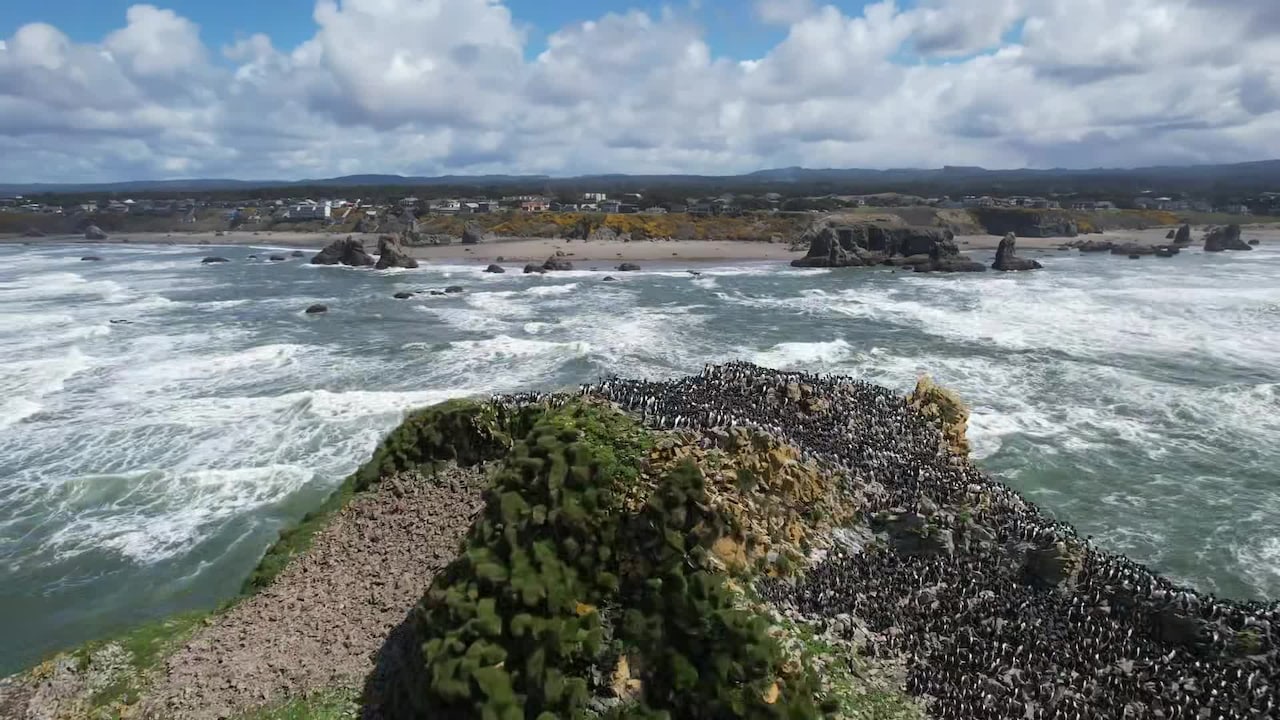 Property video