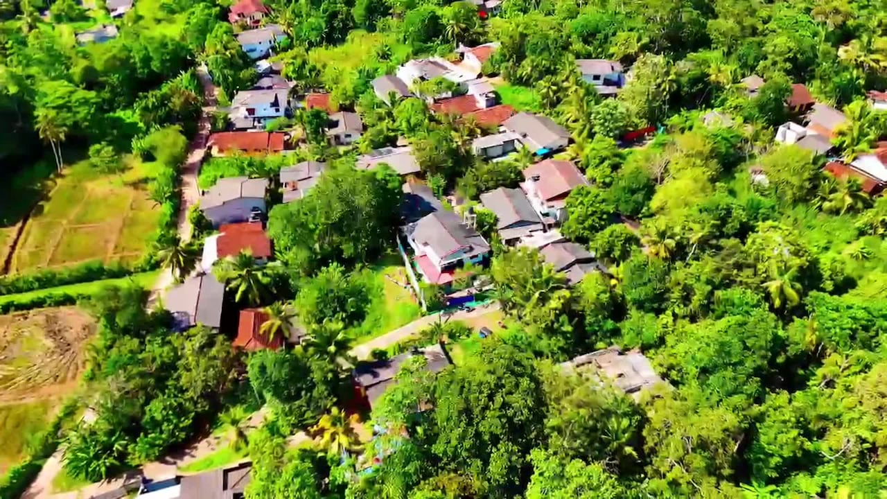 Property video