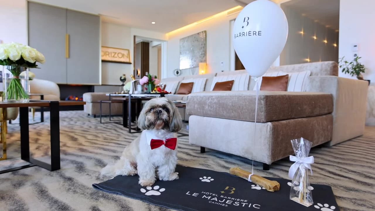 Property video