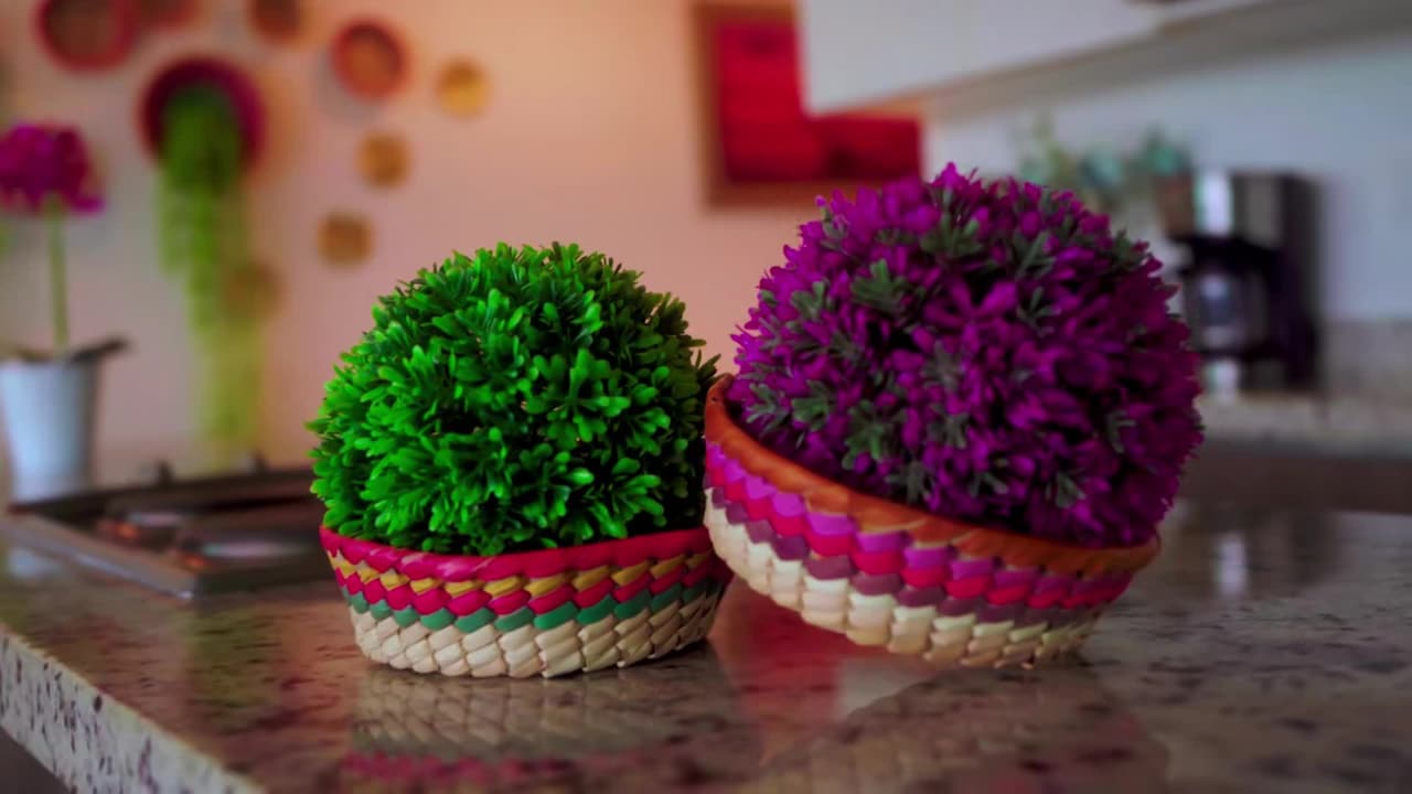 Video realizado por la propiedad