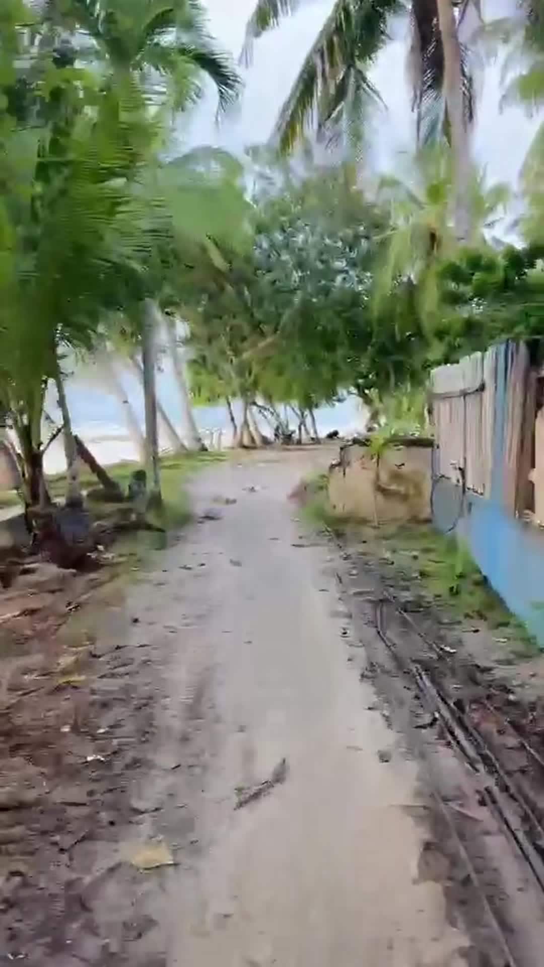 Property video