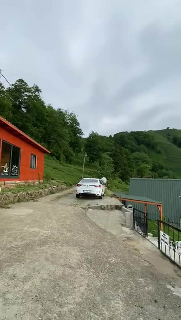 Property video