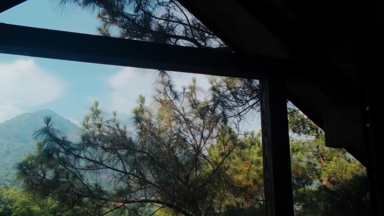 VidĂ©o de lâhĂ©bergement