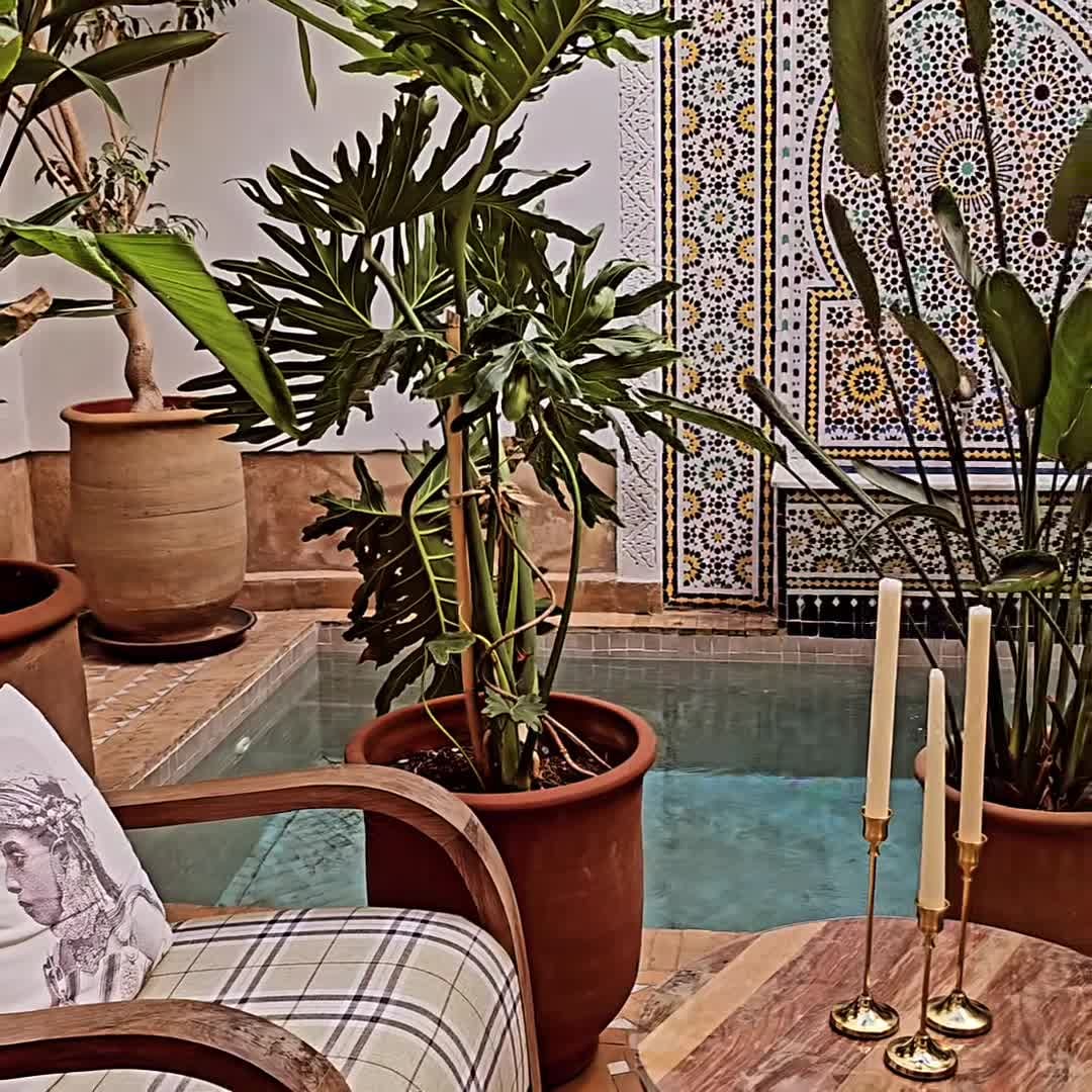 فيديو المنشأة الفندقية