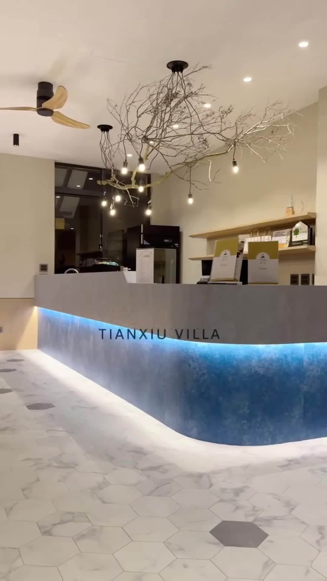 Property video