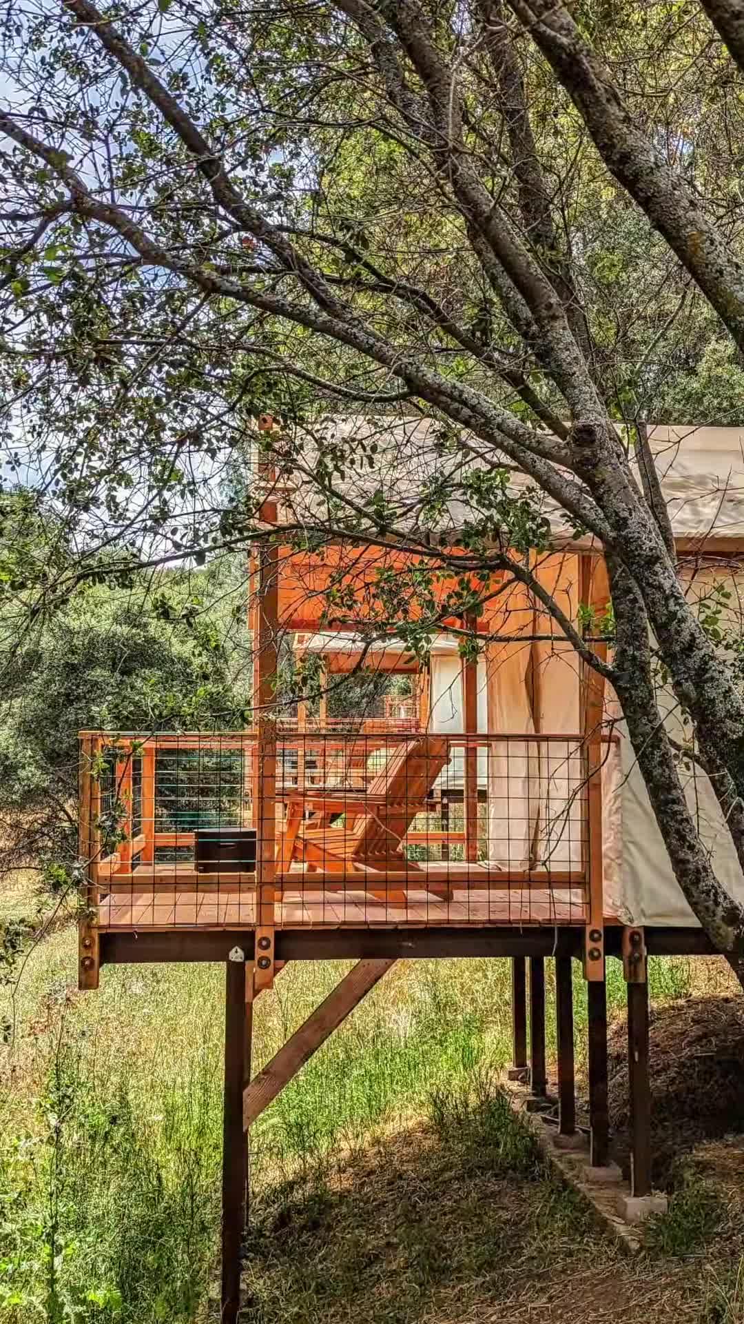 Property video