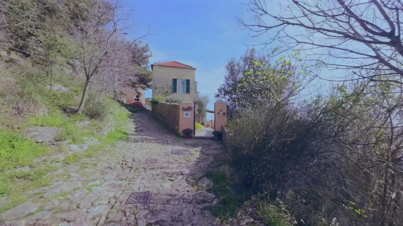 Property video
