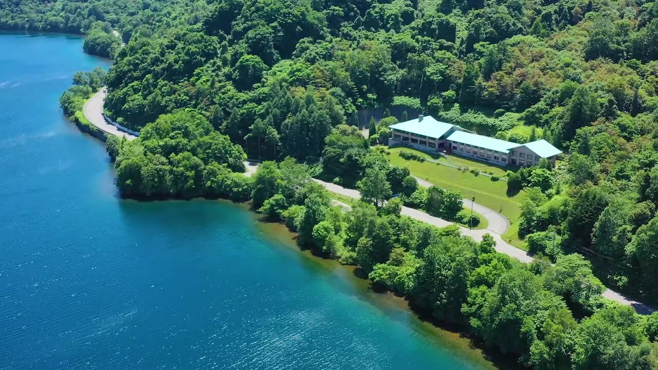 فيديو المنشأة الفندقية