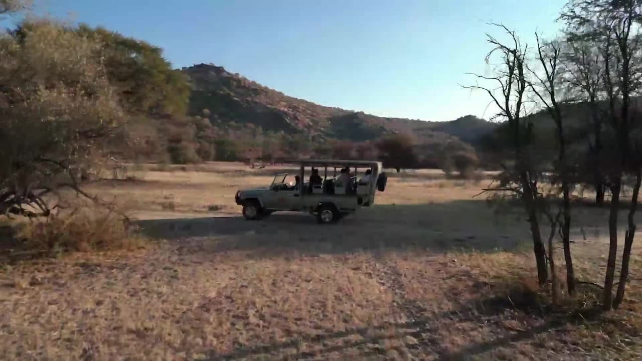 Property video