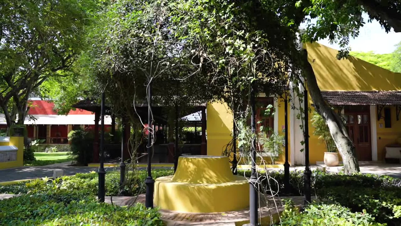 Property video