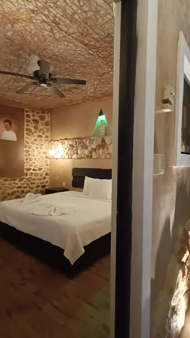 Property video
