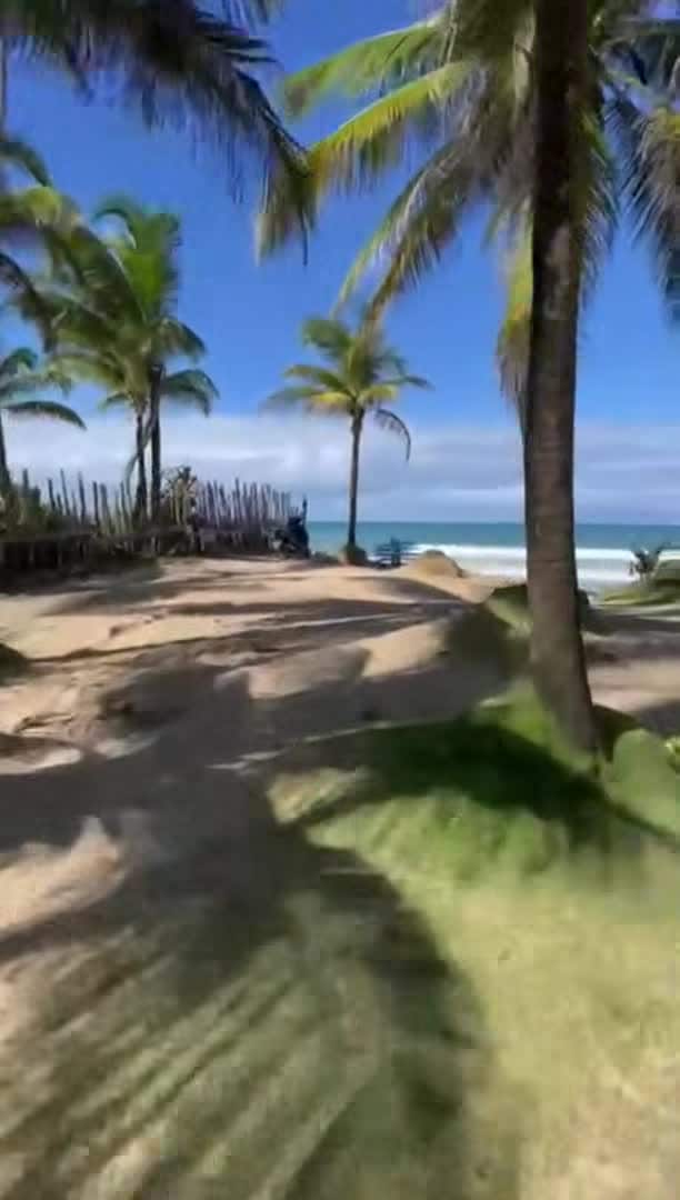 Video realizado por la propiedad