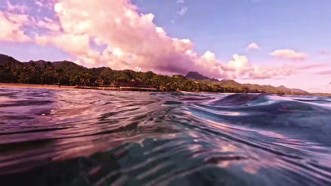 Video realizado por la propiedad