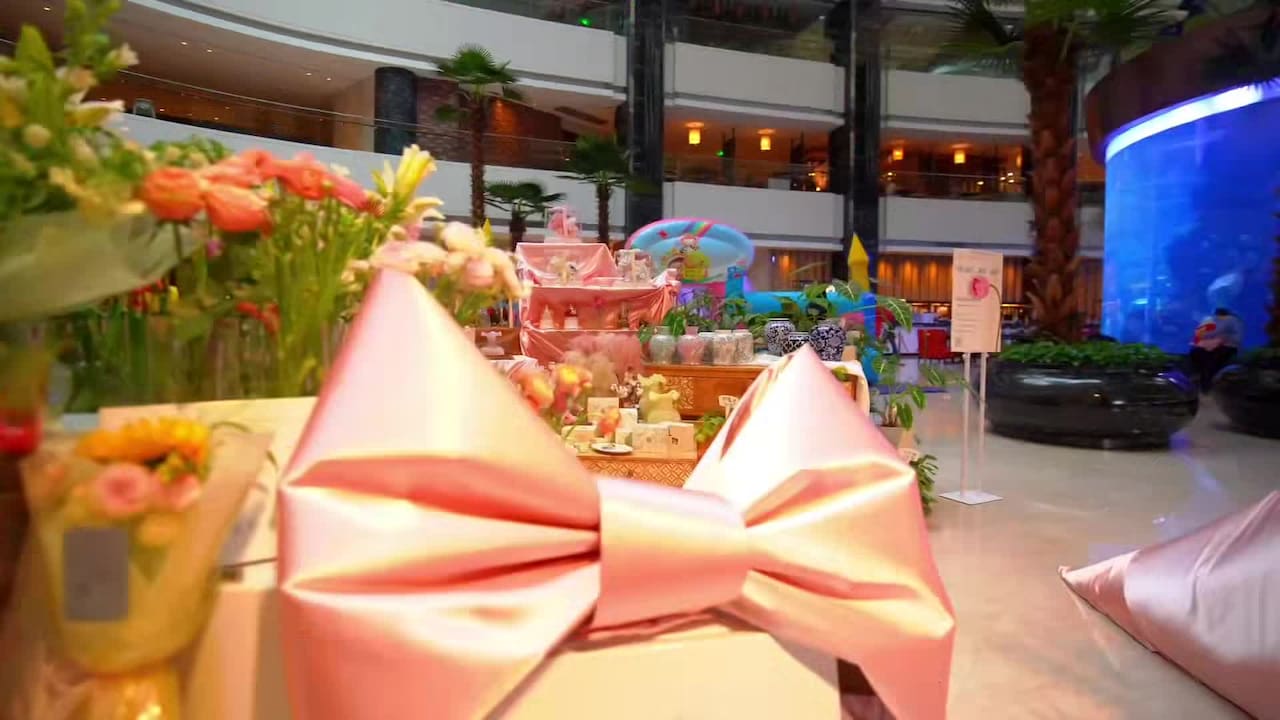 Property video