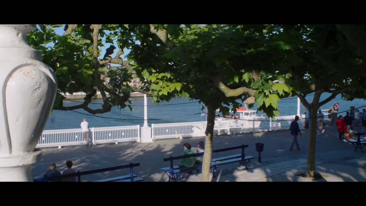 Property video
