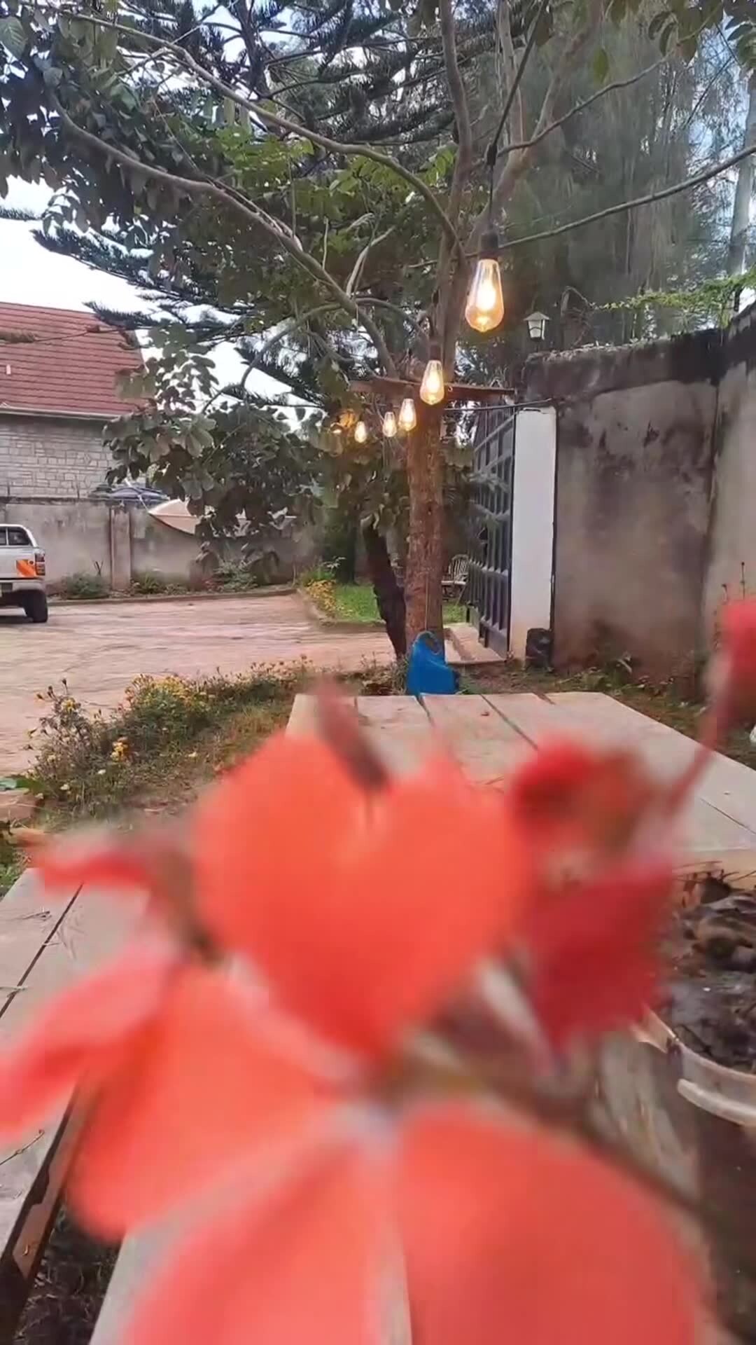Vídeo hecho por el alojamiento