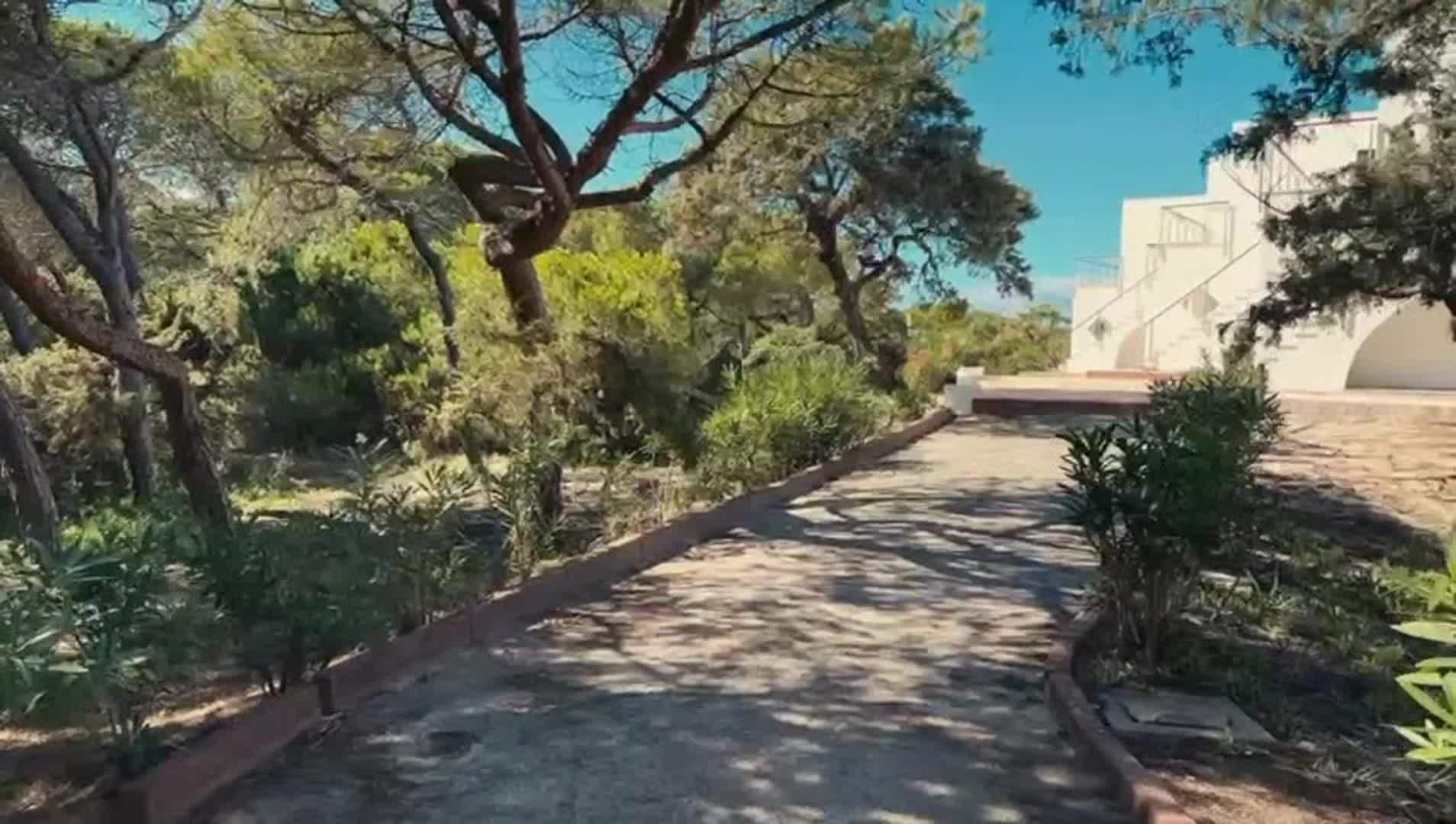 Property video