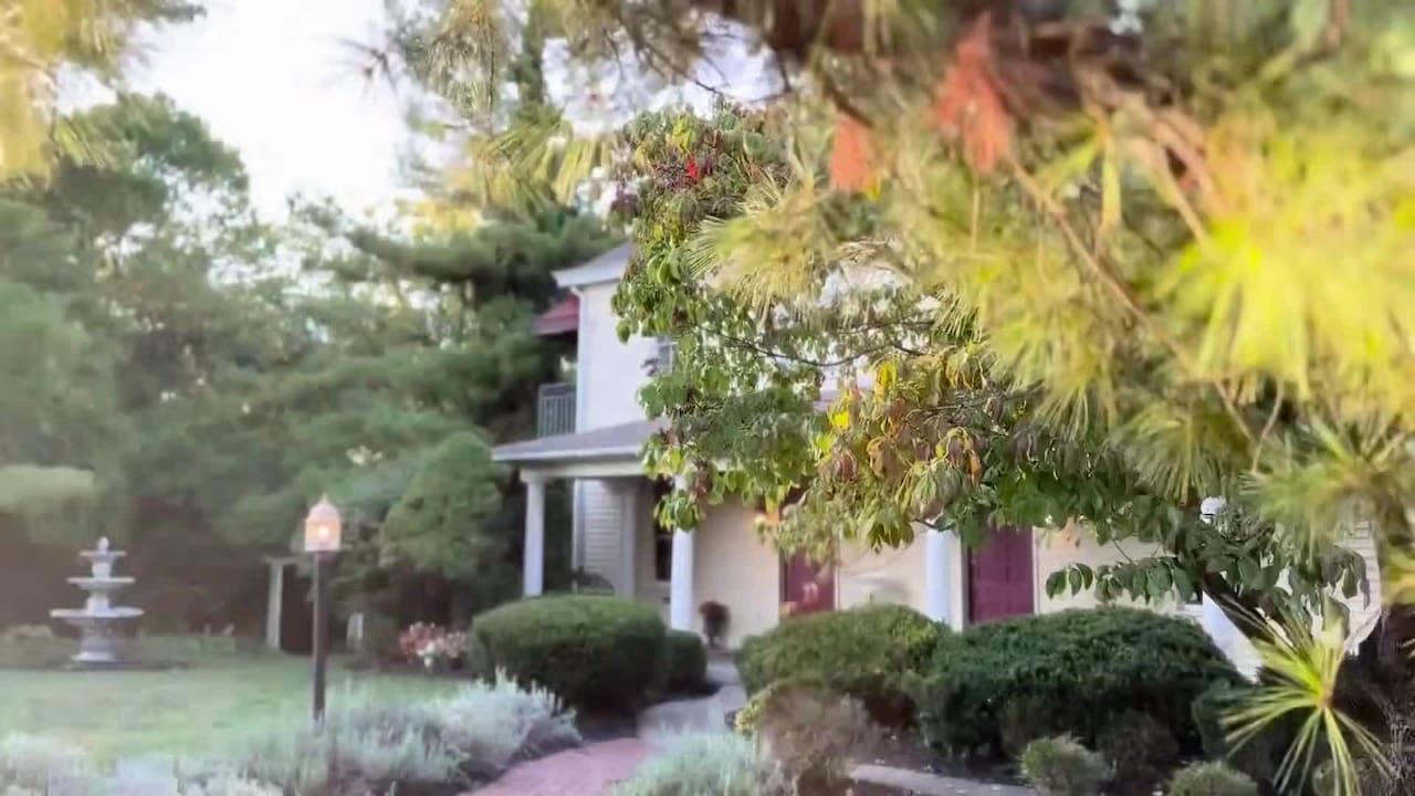 Property video