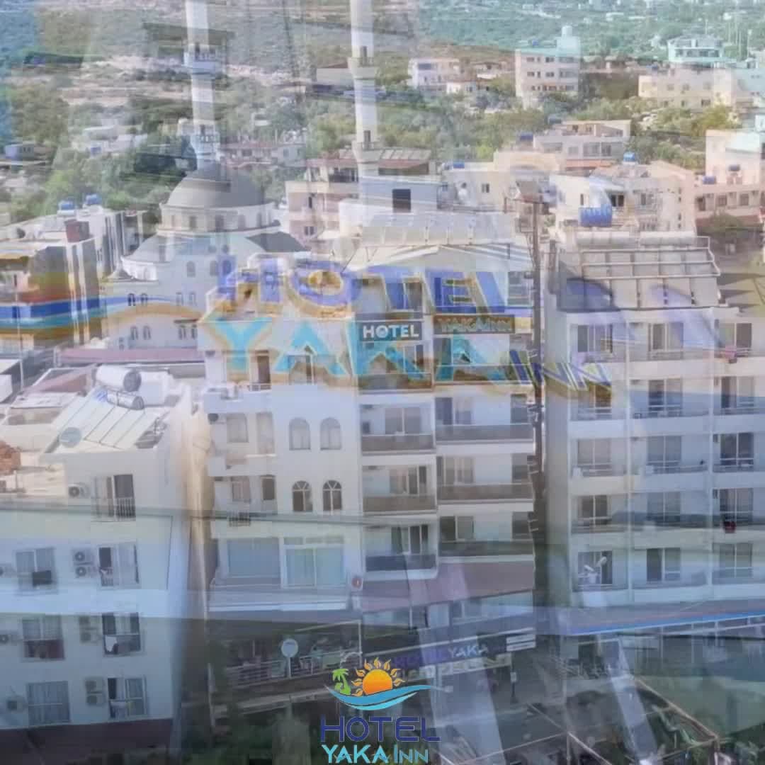 Property video