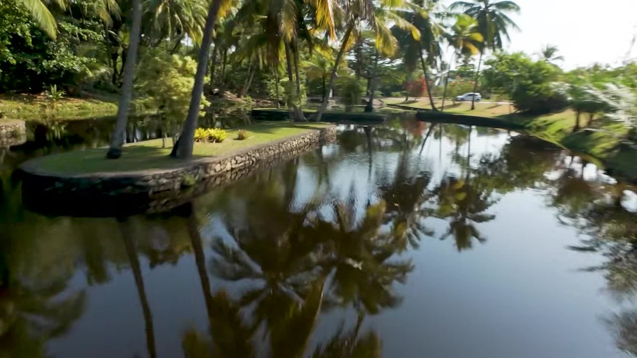 Property video