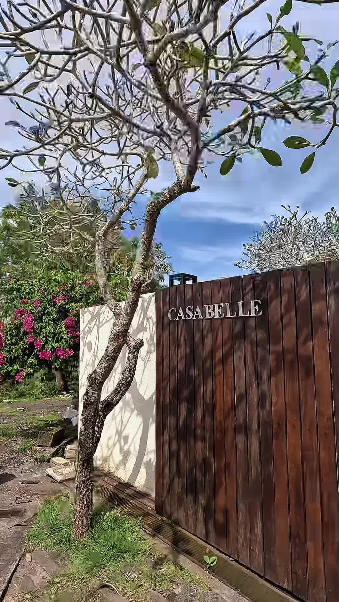 Property video