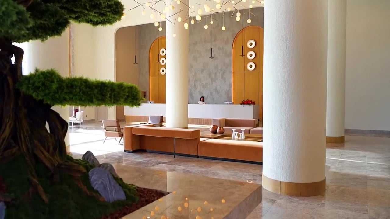 Property video