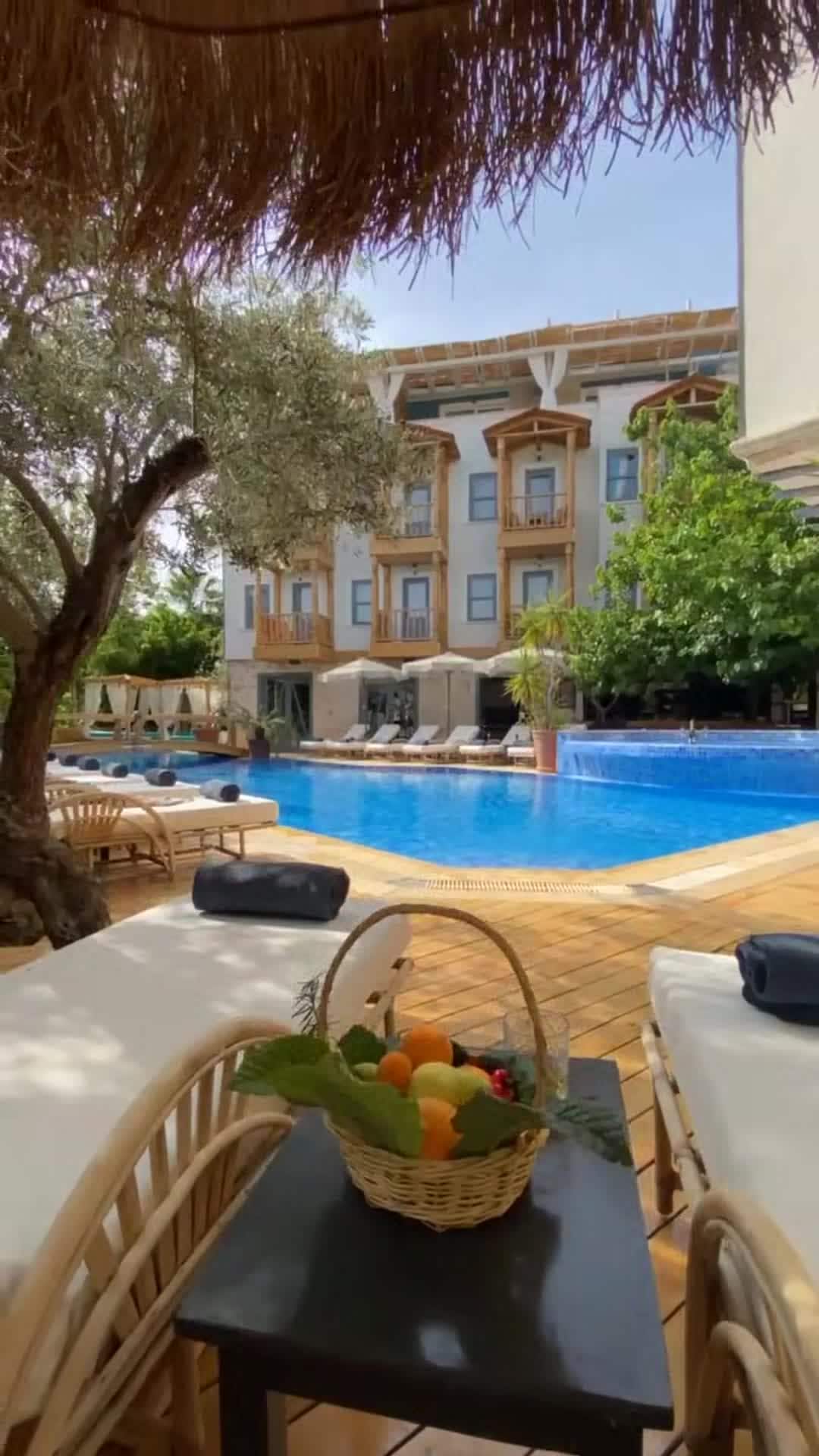 Property video