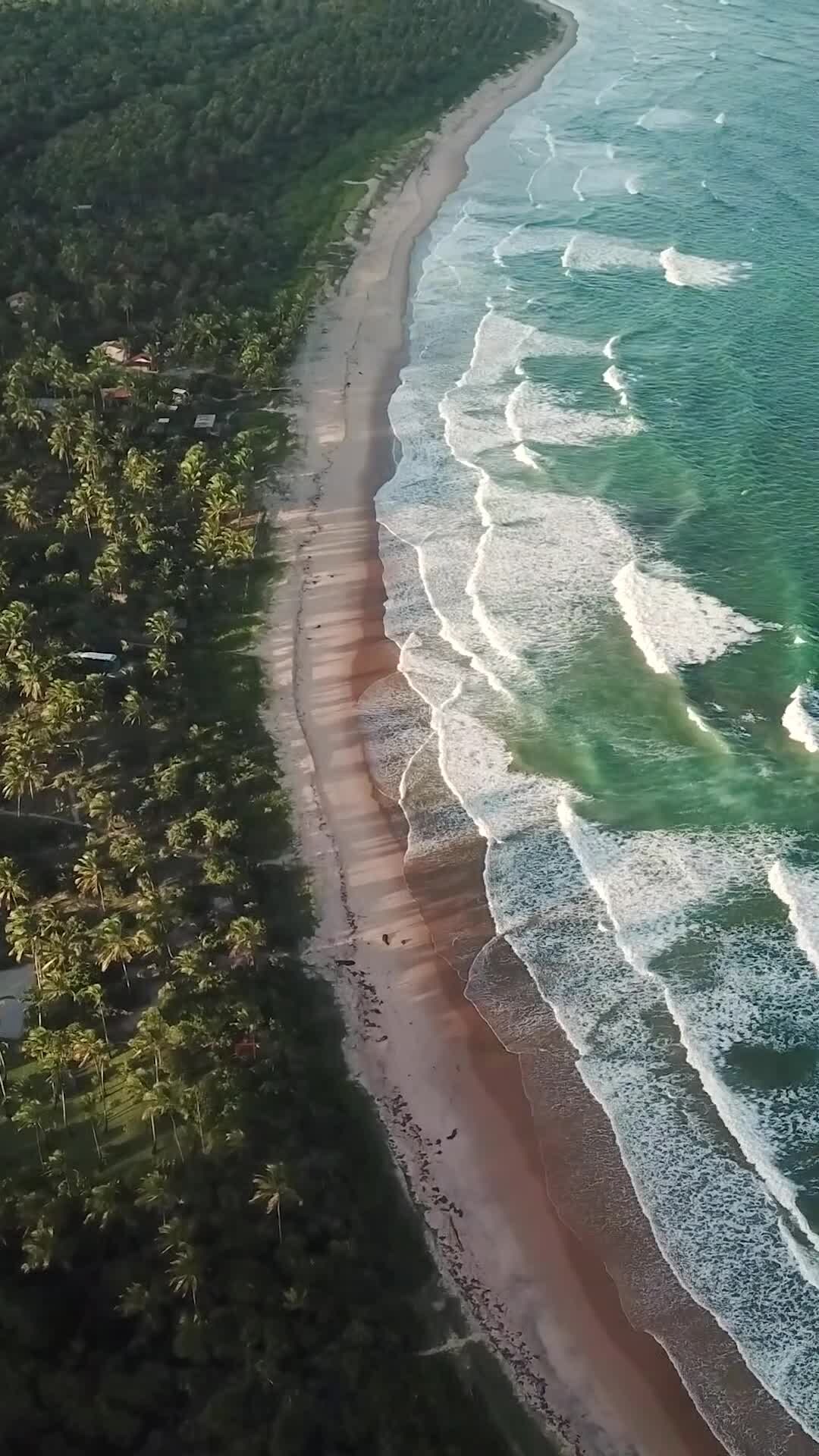 Vídeo hecho por el alojamiento