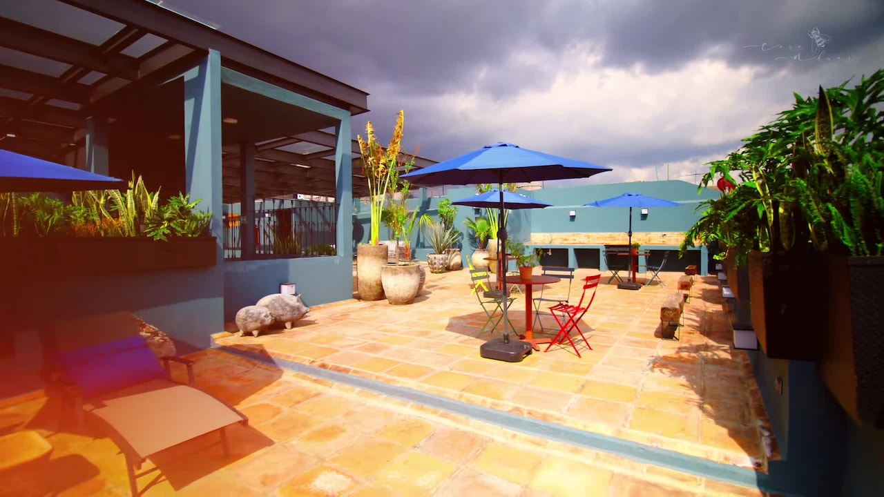 Property video