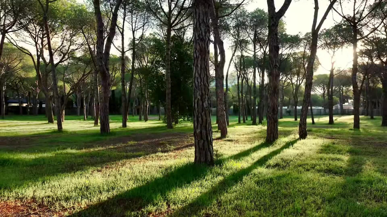 Vídeo hecho por el alojamiento