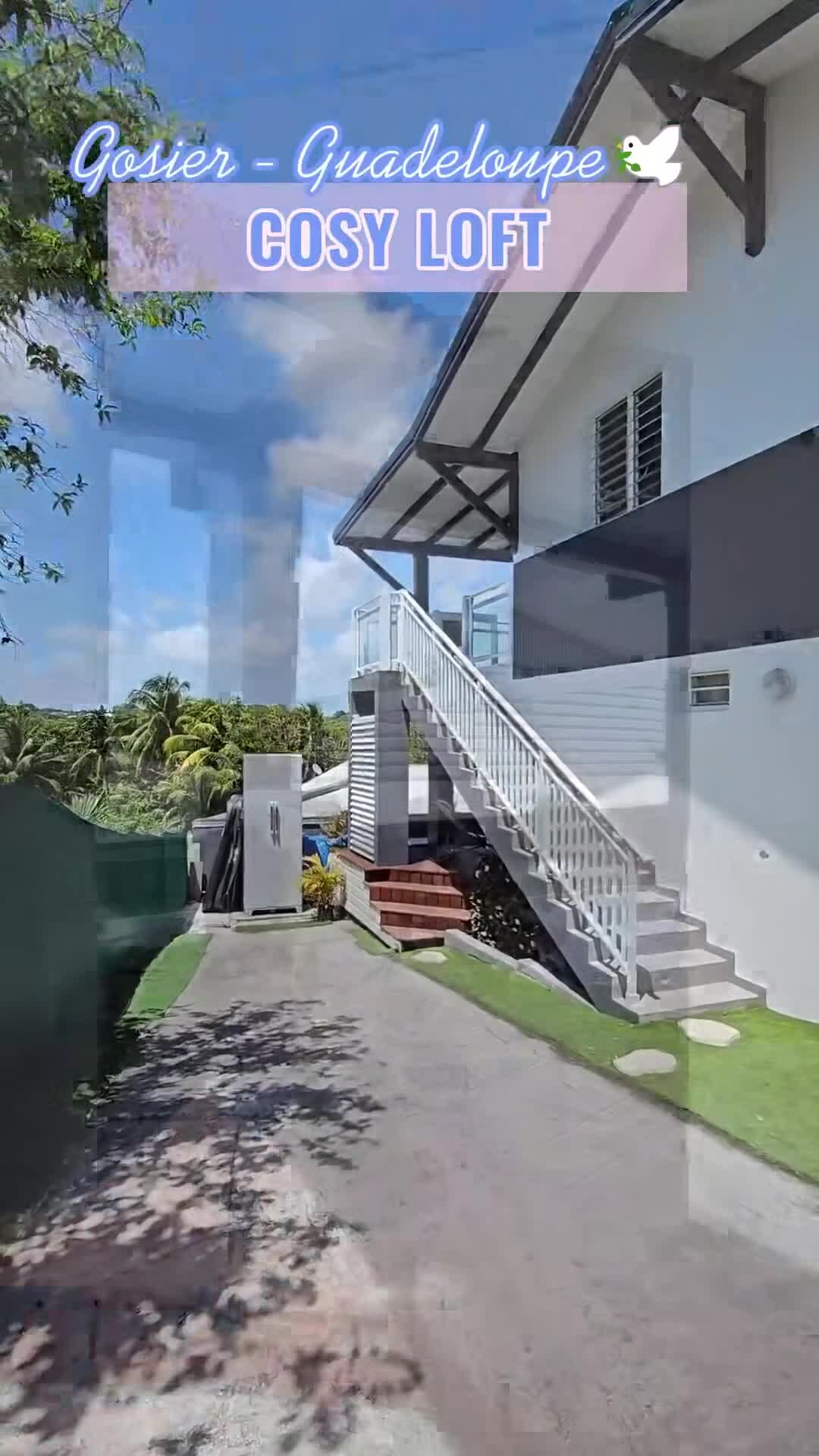 Property video