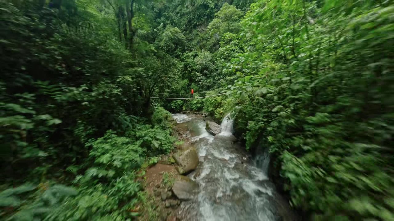 Property video