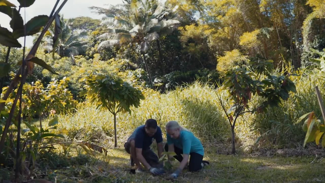 Property video