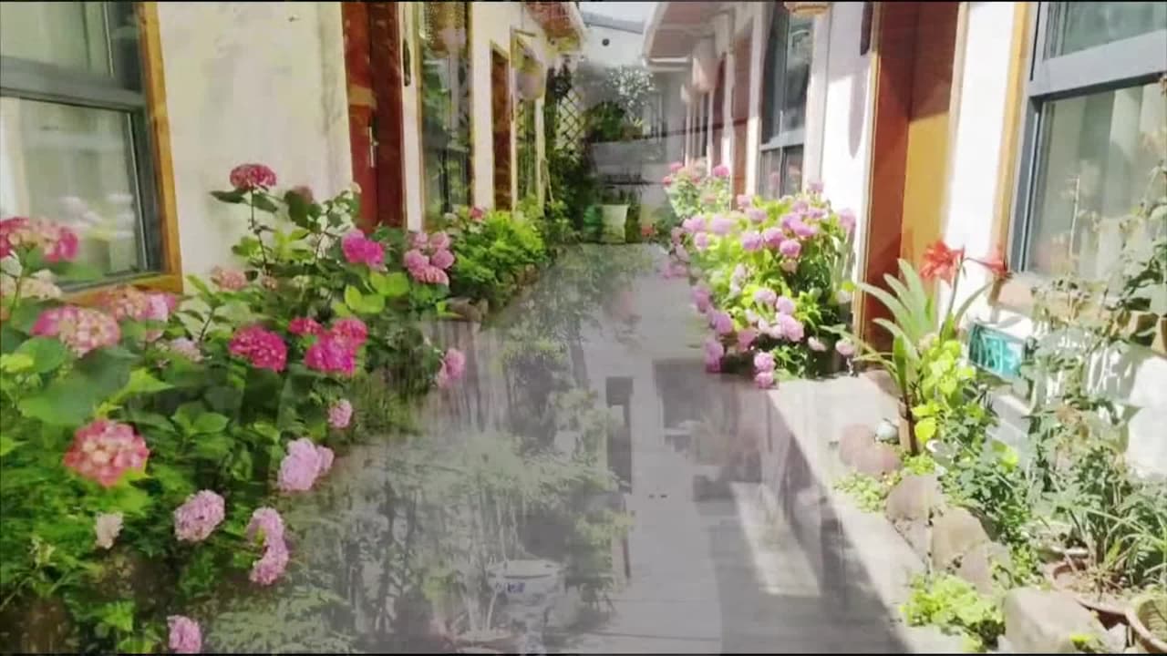 Property video
