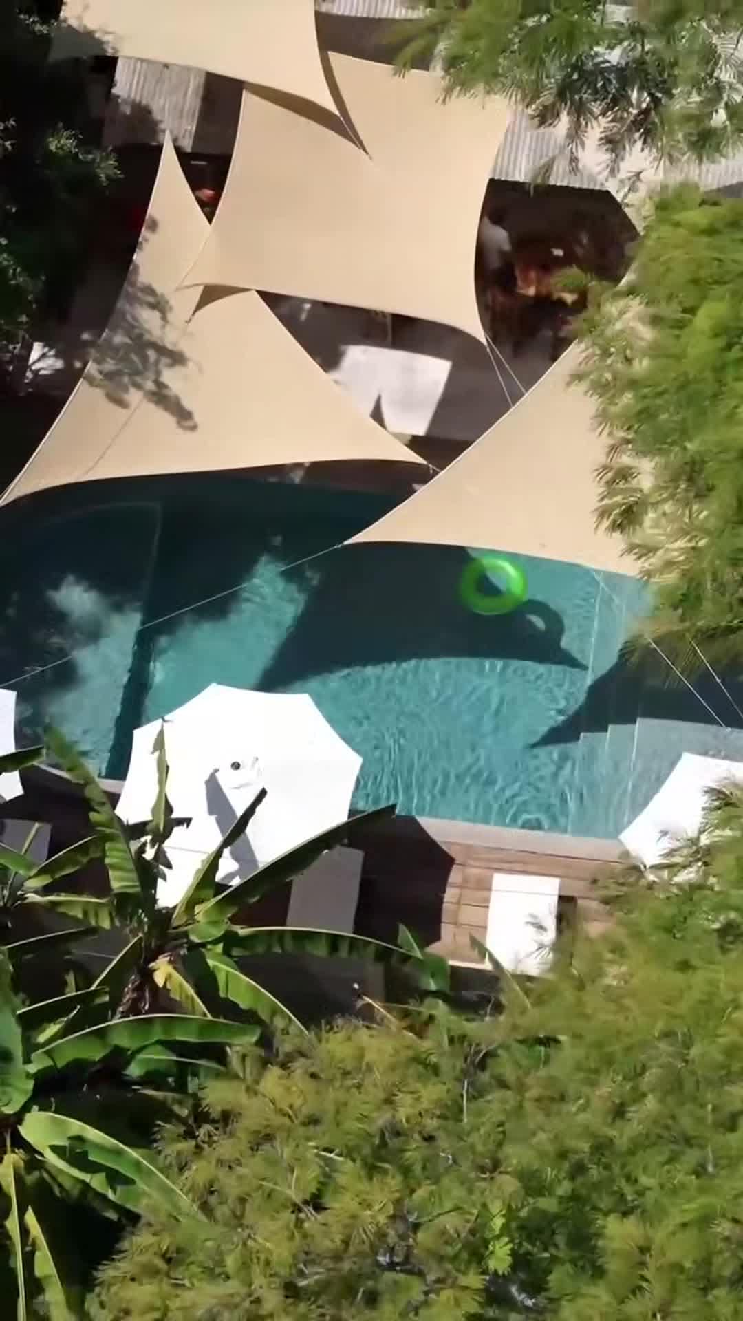 Video realizado por la propiedad