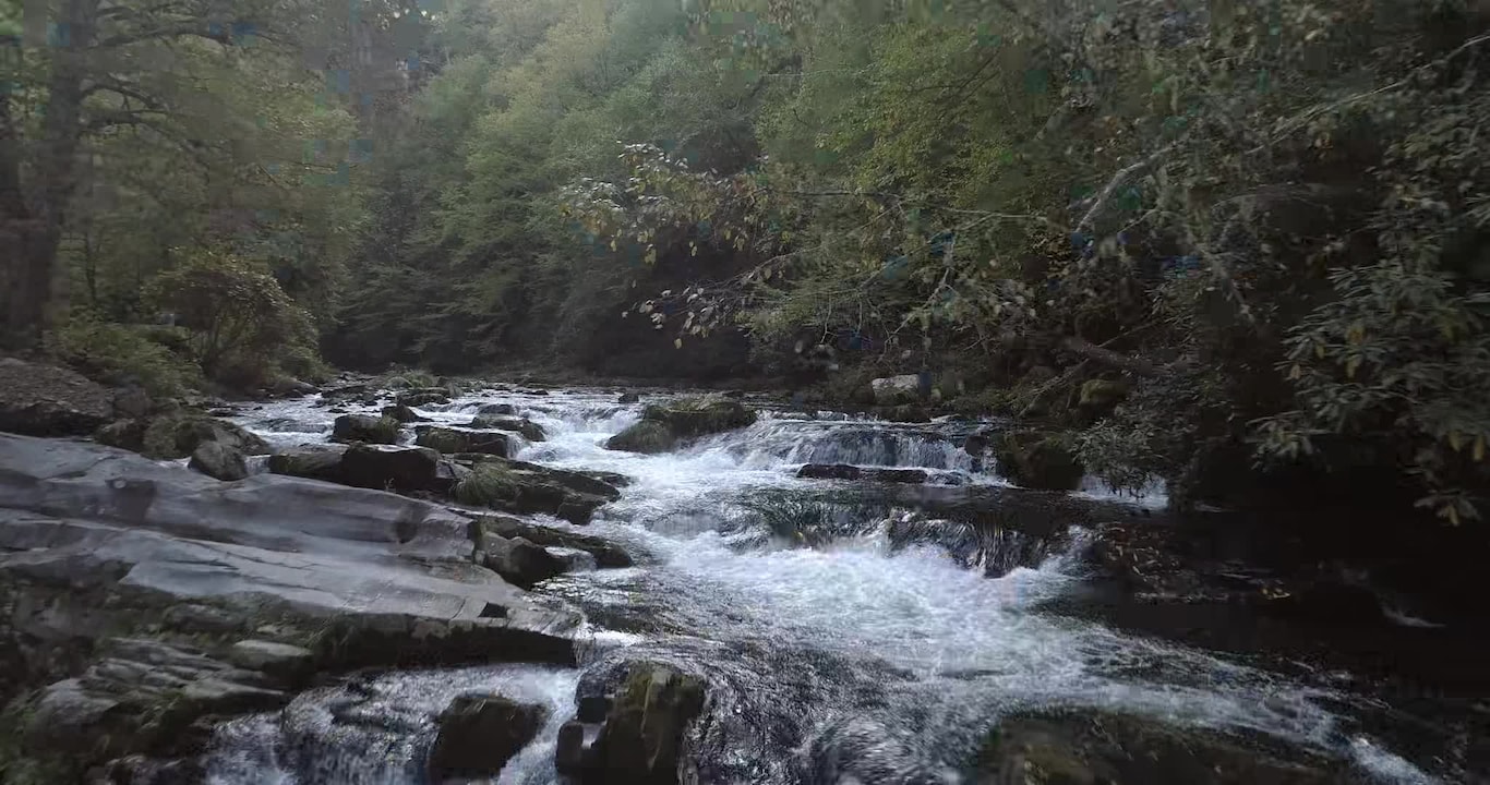 Majoituspaikan video