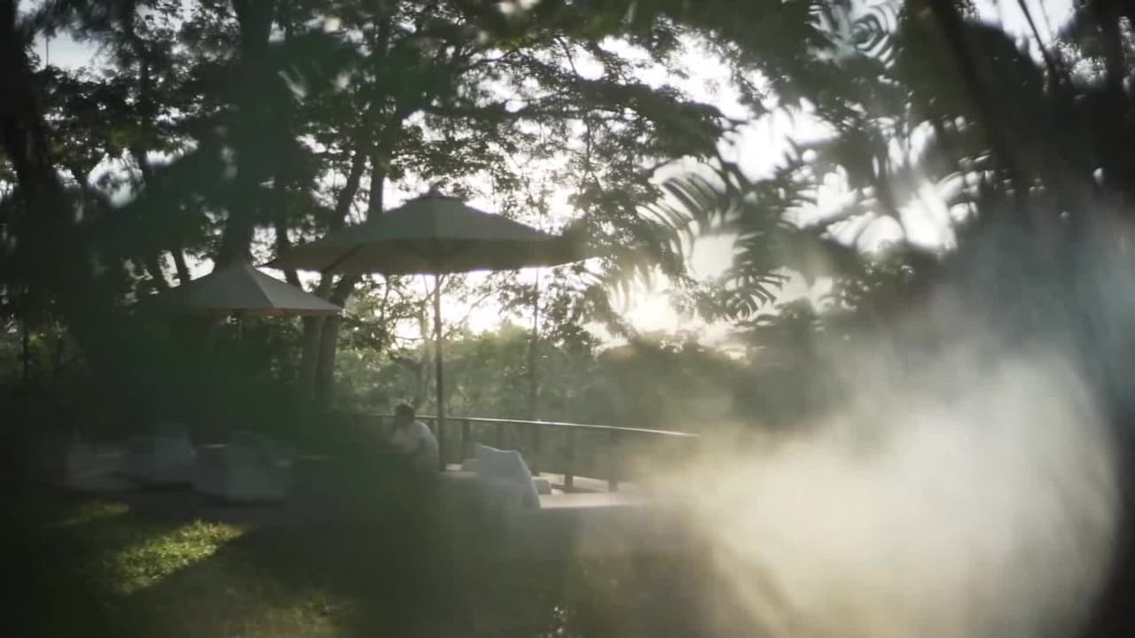 Video realizado por la propiedad