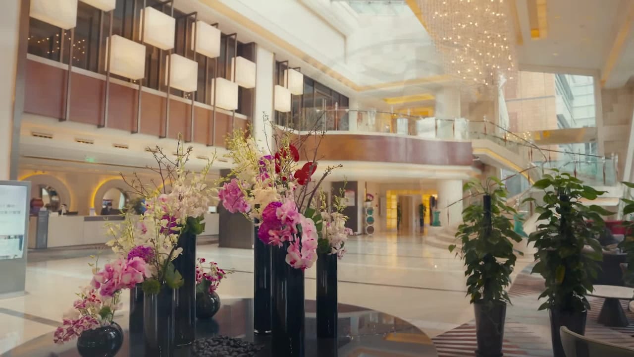 Property video