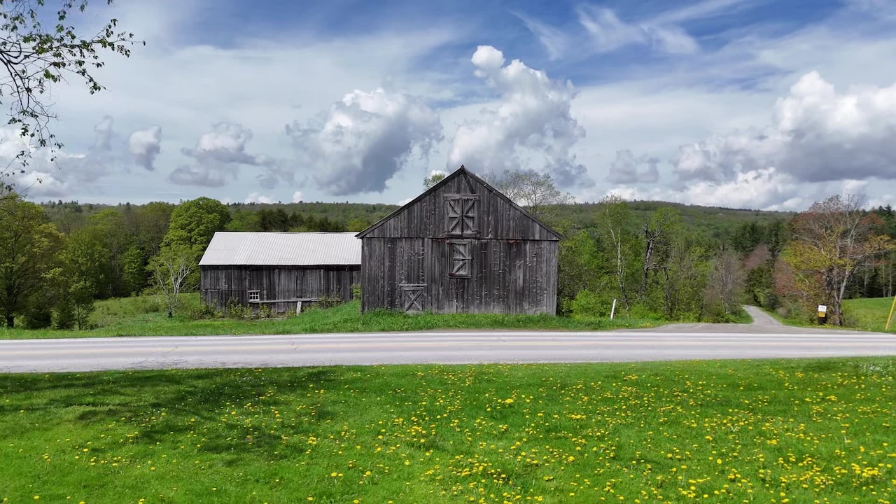 Property video
