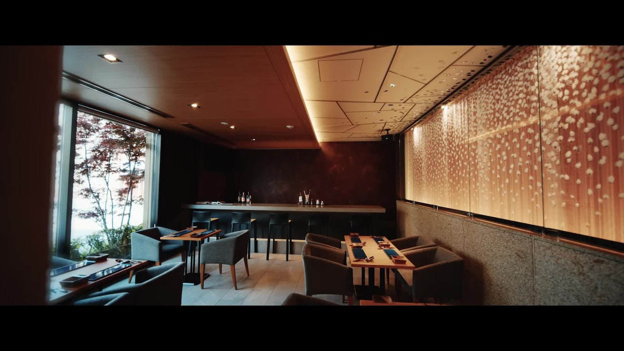 Video realizado por la propiedad