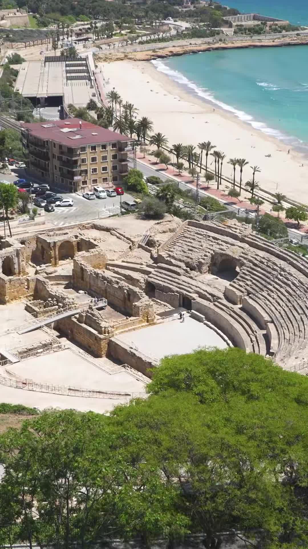 Video realizado por la propiedad