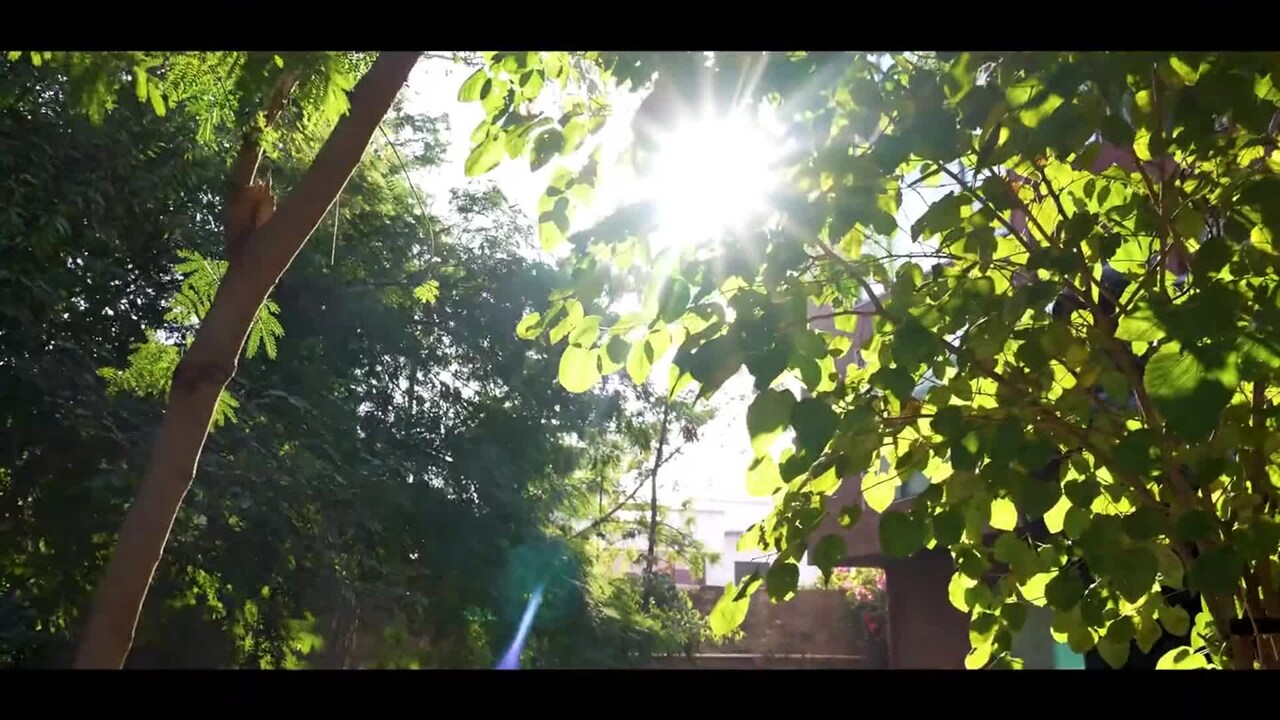 Vídeo hecho por el alojamiento