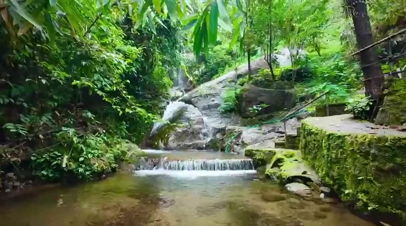 Video realizado por la propiedad