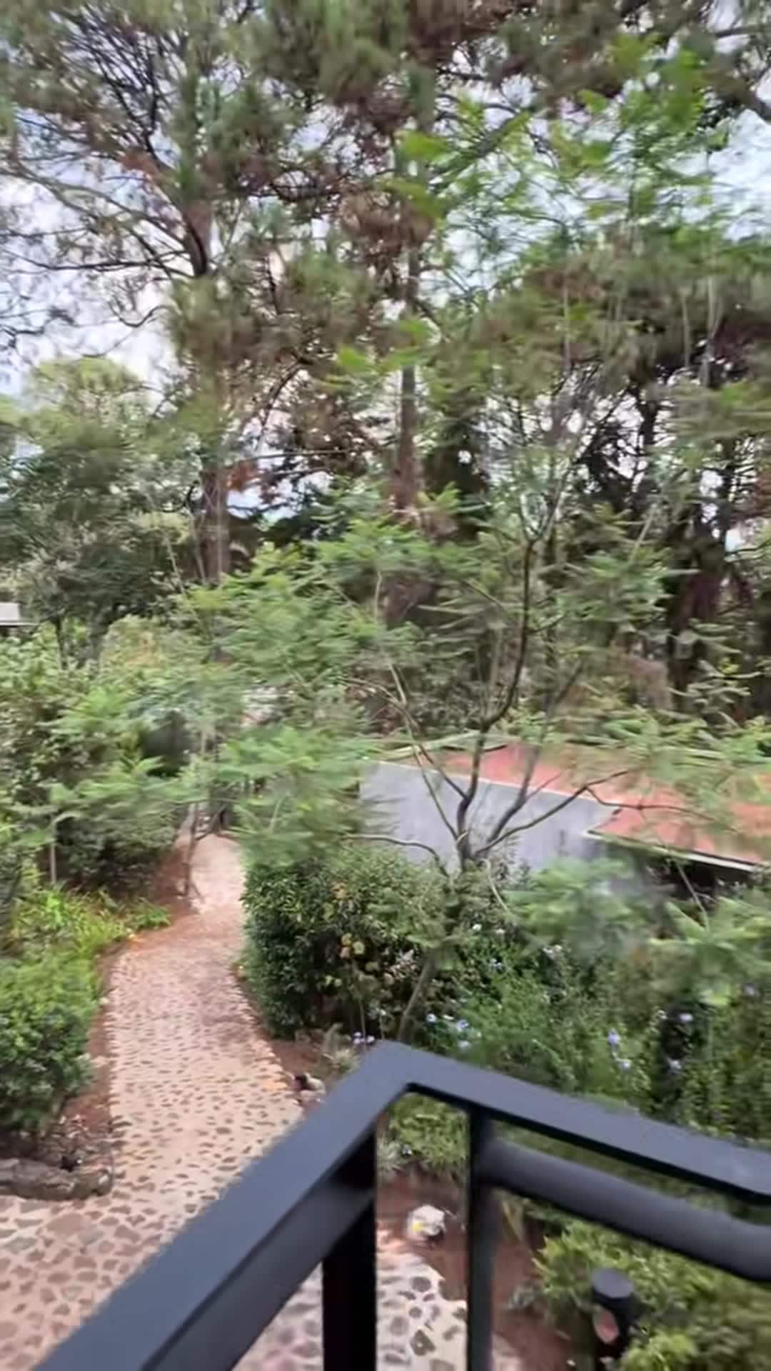 Video realizado por la propiedad
