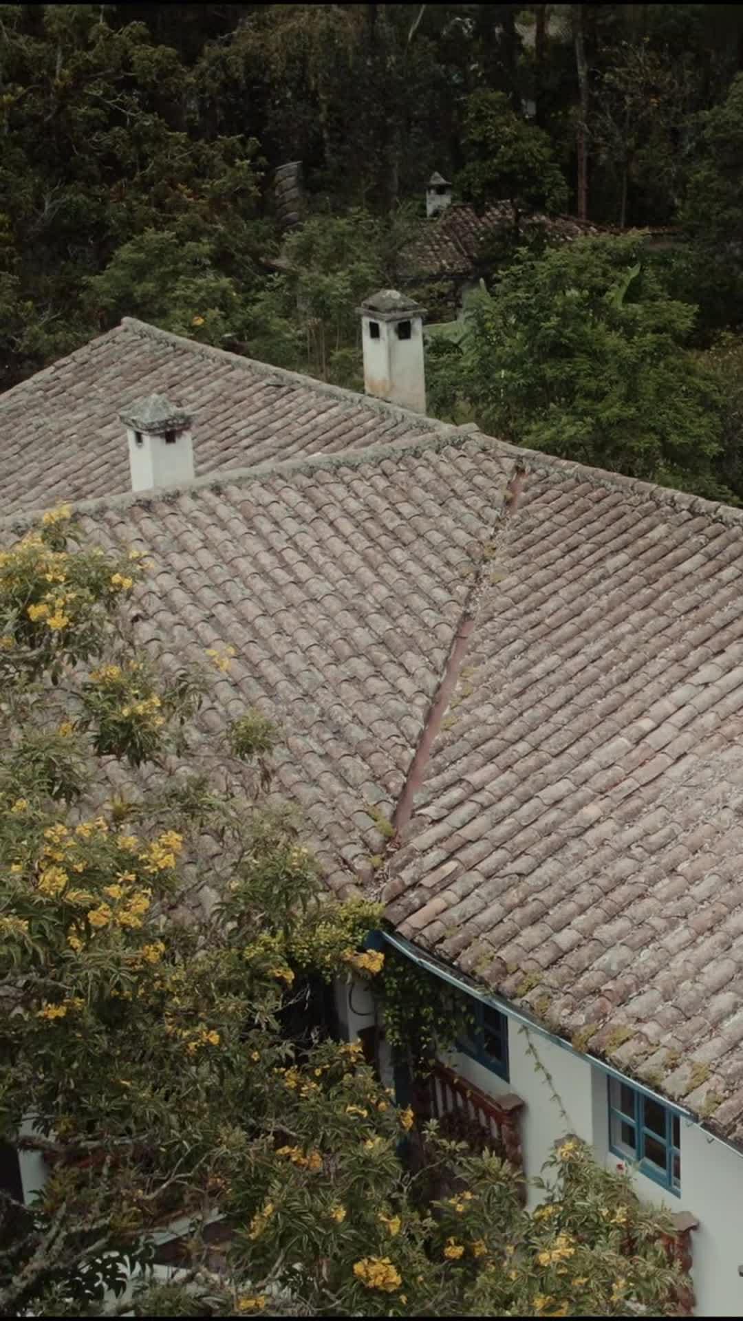 Vídeo da propriedade