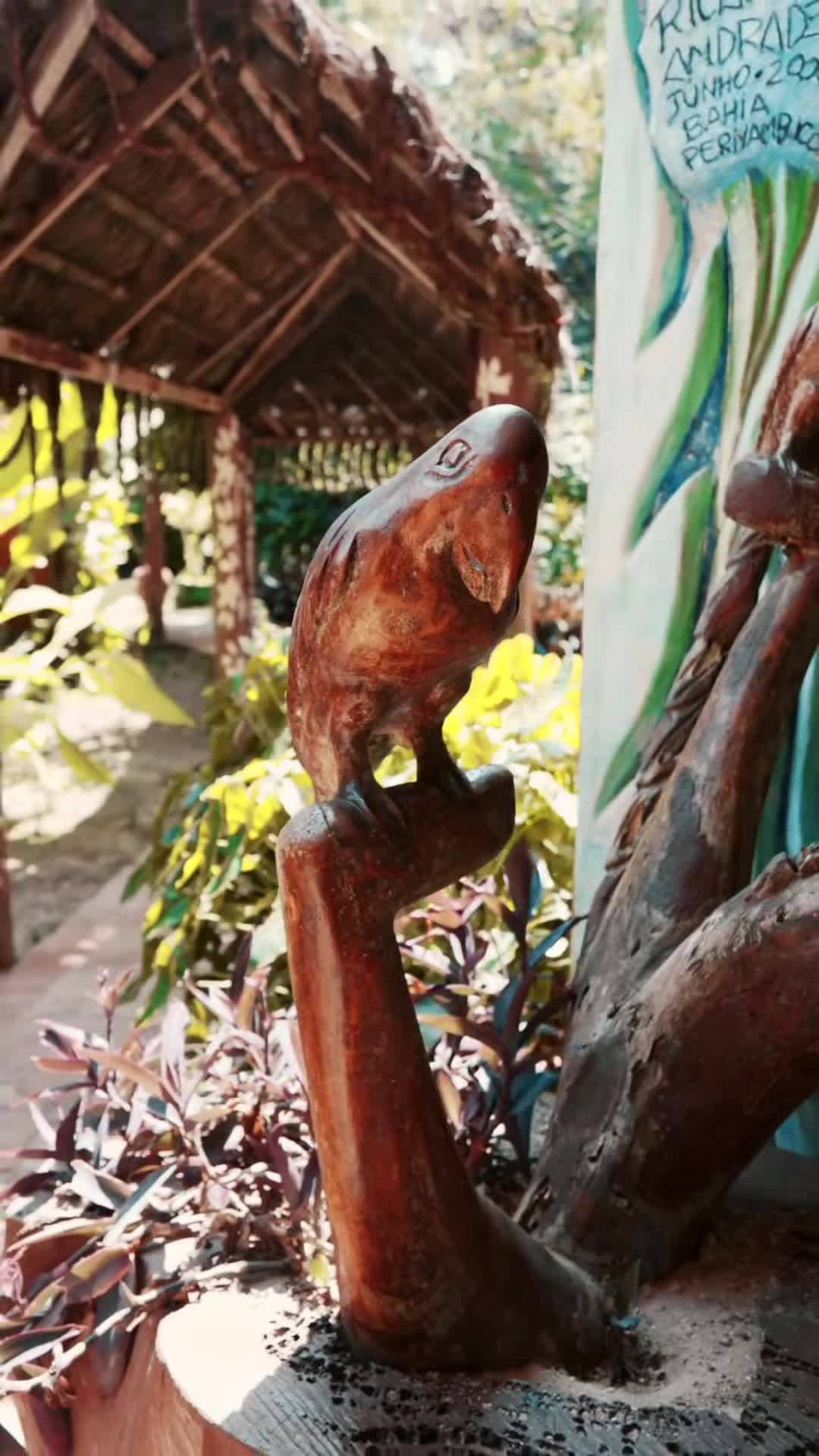 Majoituspaikan video