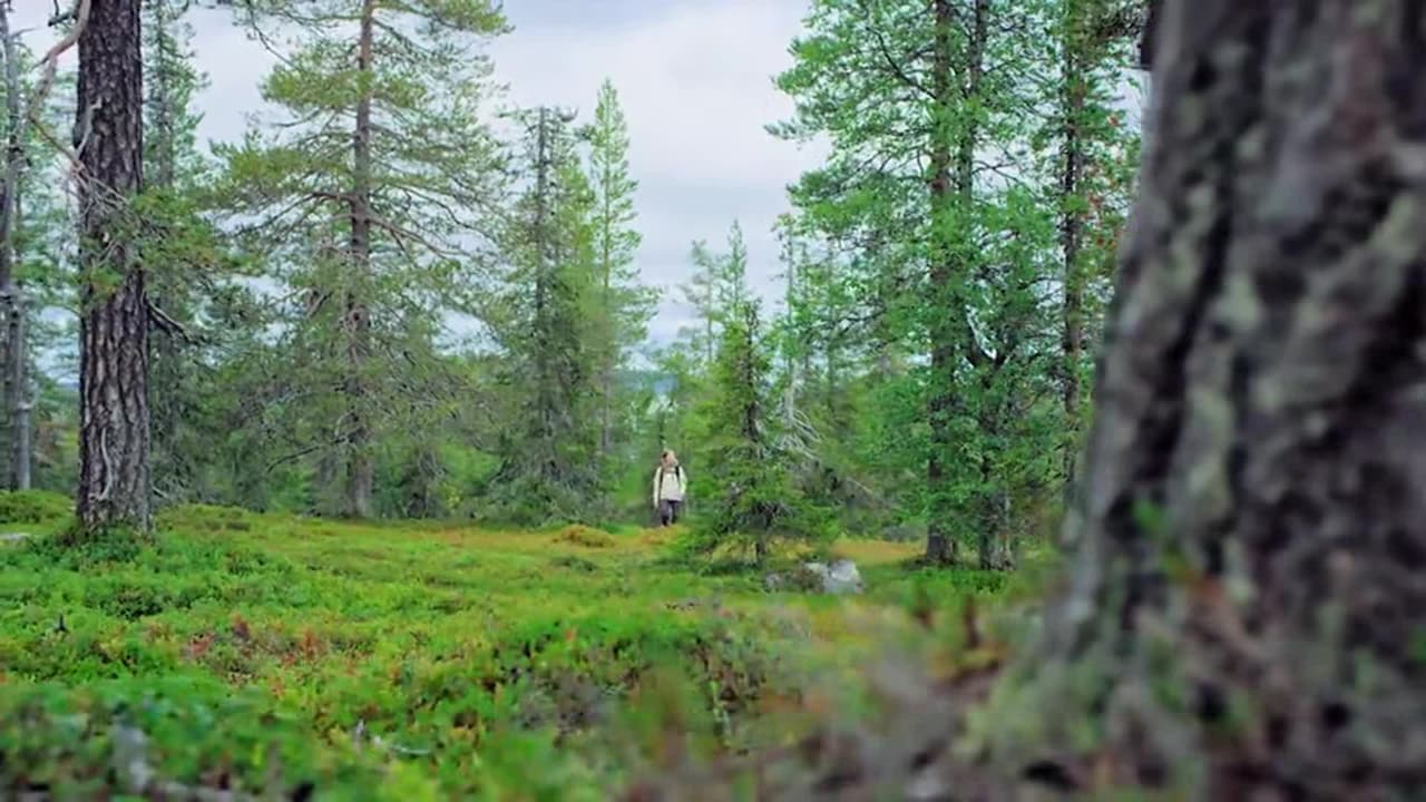 Vidéo de l’hébergement