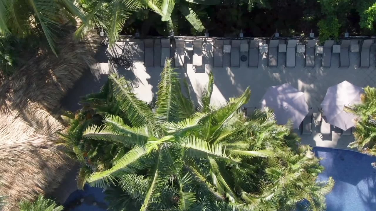VidĂ©o de lâhĂ©bergement
