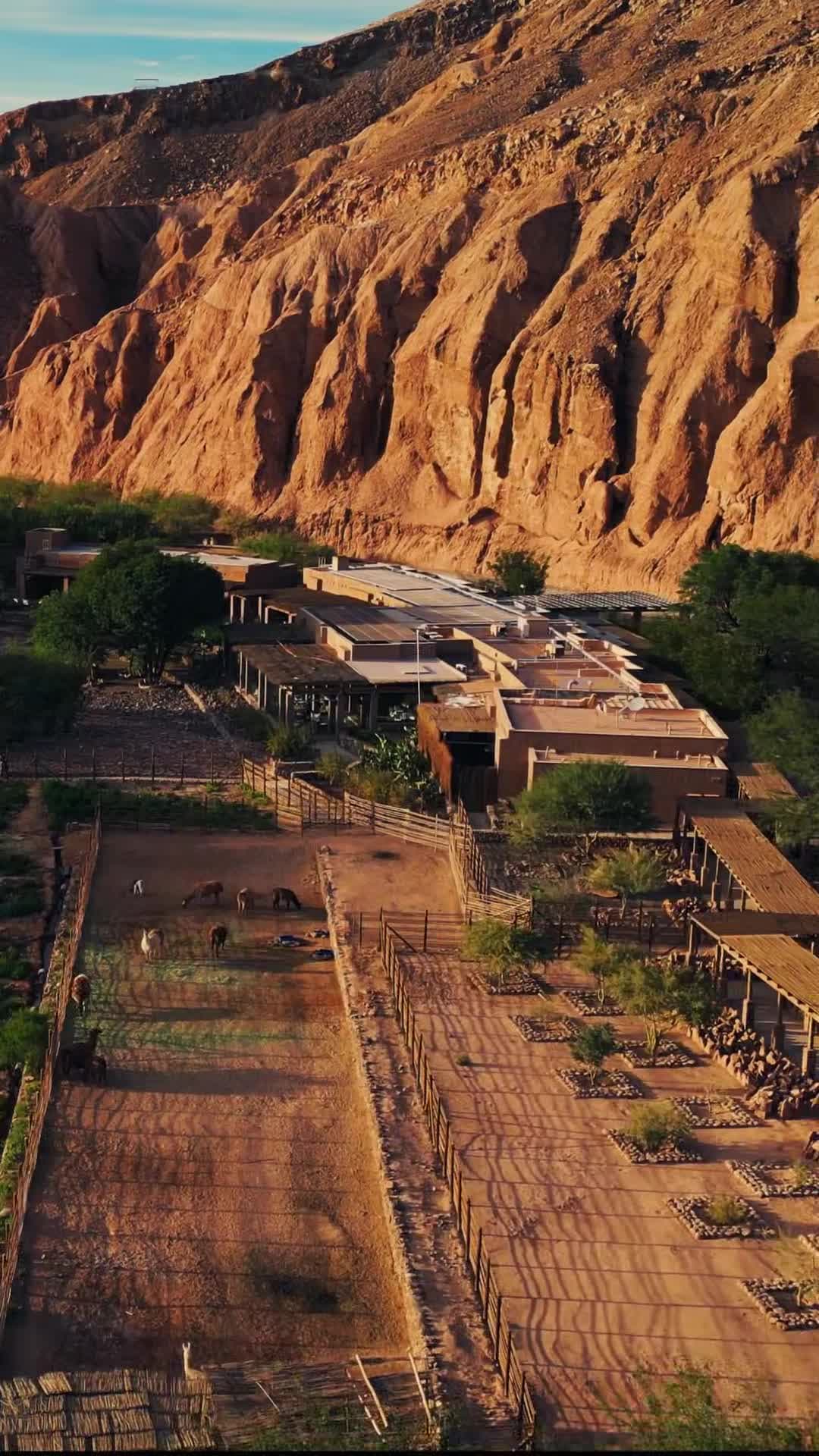 Property video